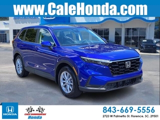 2025 Honda CR-V for sale in Florence SC