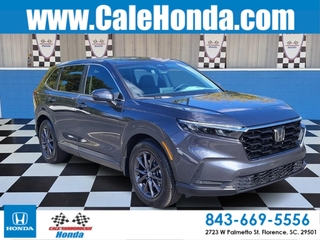 2026 Honda CR-V for sale in Florence SC
