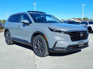 2026 Honda CR-V for sale in Morehead City NC