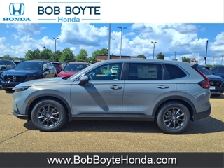 2026 Honda CR-V for sale in Brandon MS