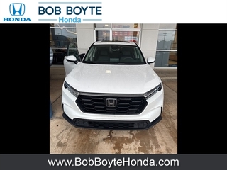 2024 Honda CR-V for sale in Brandon MS