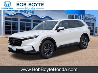 2026 Honda CR-V for sale in Brandon MS