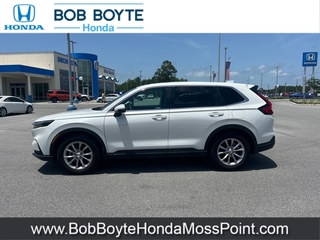 2024 Honda CR-V for sale in Moss Point MS