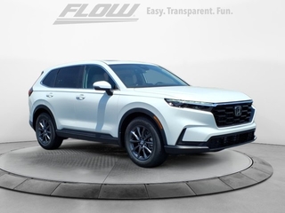 2026 Honda CR-V for sale in Burlington NC
