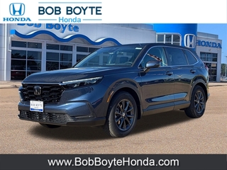 2026 Honda CR-V for sale in Brandon MS