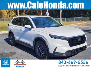 2026 Honda CR-V for sale in Florence SC