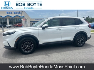 2026 Honda CR-V for sale in Moss Point MS