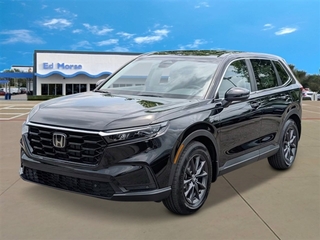 2026 Honda CR-V for sale in Riviera Beach FL