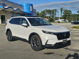 2026 Honda CR-V for sale in Morehead City NC