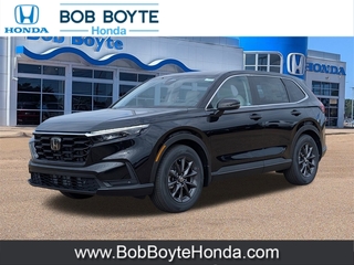 2026 Honda CR-V for sale in Brandon MS