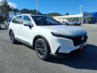 2026 Honda CR-V for sale in Morehead City NC