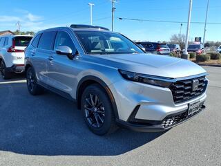 2026 Honda CR-V for sale in Morehead City NC