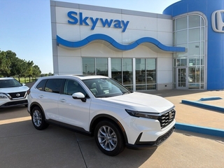 2025 Honda CR-V for sale in Pineville NC