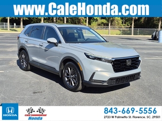 2026 Honda CR-V for sale in Florence SC