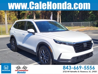 2026 Honda CR-V for sale in Florence SC