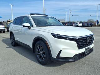 2026 Honda CR-V for sale in Morehead City NC