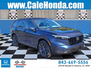 2026 Honda CR-V for sale in Florence SC