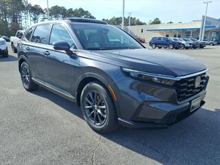 2026 Honda CR-V for sale in Morehead City NC