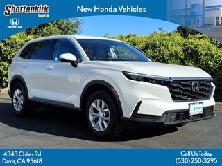 2026 Honda CR-V for sale in Davis CA
