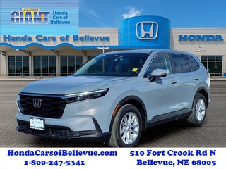 2024 Honda CR-V for sale in Bellevue NE