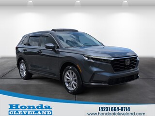 2024 Honda CR-V for sale in Cleveland TN