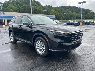 2026 Honda CR-V for sale in Bridgeport WV