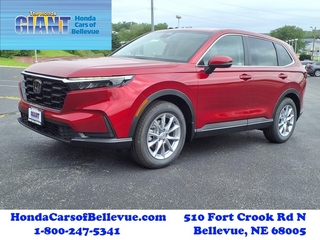 2026 Honda CR-V for sale in Bellevue NE