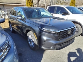 2024 Honda CR-V for sale in Boone NC