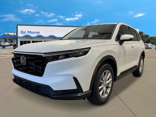 2026 Honda CR-V for sale in Riviera Beach FL