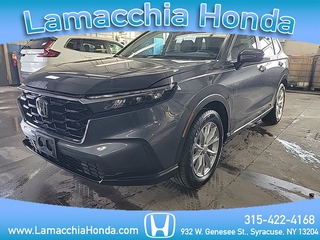 2023 Honda CR-V for sale in Syracuse NY