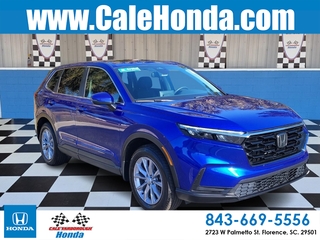 2024 Honda CR-V for sale in Florence SC