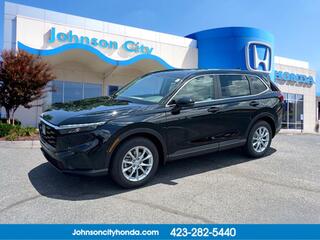 2026 Honda CR-V for sale in Johnson City TN