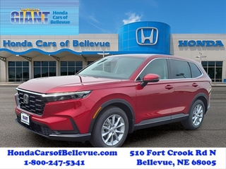 2026 Honda CR-V for sale in Bellevue NE