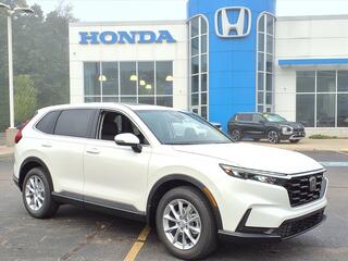 2026 Honda CR-V for sale in Tupelo MS