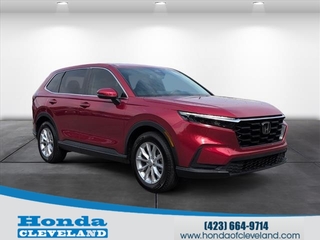2024 Honda CR-V for sale in Cleveland TN