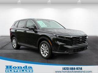 2026 Honda CR-V for sale in Cleveland TN