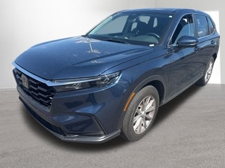 2024 Honda CR-V for sale in Indianapolis IN