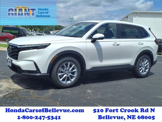 2026 Honda CR-V for sale in Bellevue NE