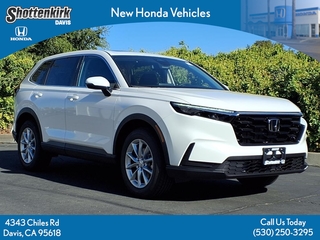 2026 Honda CR-V for sale in Davis CA
