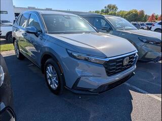 2026 Honda CR-V for sale in Bowling Green KY