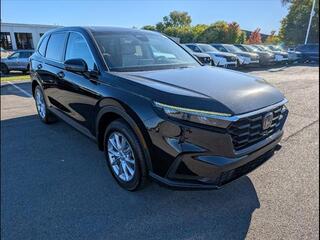 2026 Honda CR-V for sale in Bowling Green KY