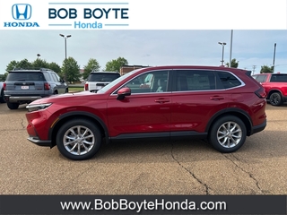 2025 Honda CR-V for sale in Brandon MS