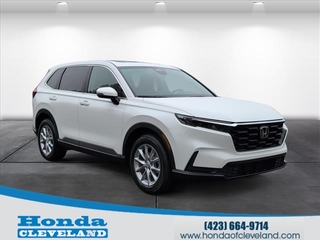 2026 Honda CR-V for sale in Cleveland TN