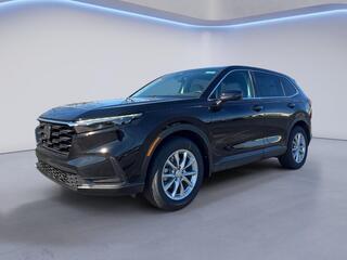 2026 Honda CR-V for sale in West Seneca NY