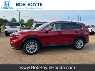 2025 Honda CR-V for sale in Brandon MS