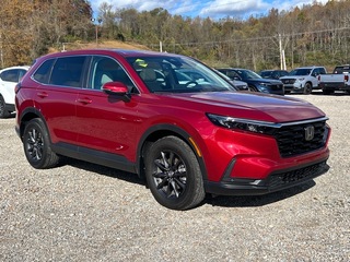 2026 Honda CR-V for sale in Bridgeport WV