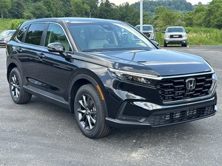2026 Honda CR-V for sale in Bridgeport WV