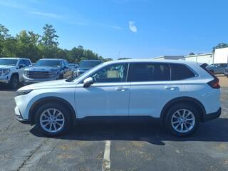 2024 Honda CR-V for sale in Pearl MS