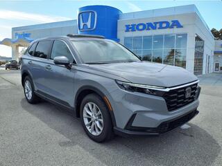 2025 Honda CR-V for sale in Morehead City NC