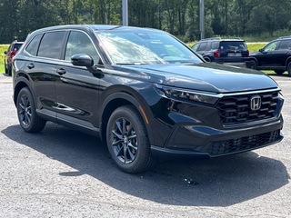 2026 Honda CR-V for sale in Bridgeport WV